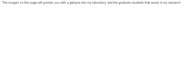 Text Box: The images on this page will provide you with a glimpse into my laboratory and the graduate students that assist in my research￼