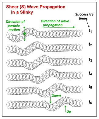 characteristics of waves. Shear (S) wave propagation in