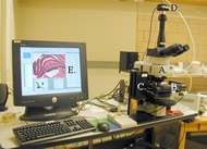 Photograph of AccessScope workstation