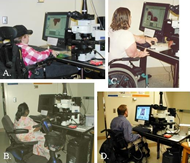 Photomontage of participants using AccessScope