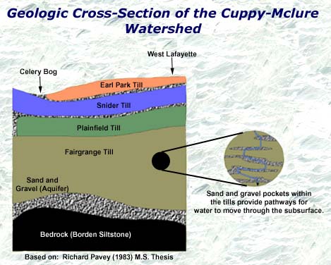 subsurface geology of celery bog