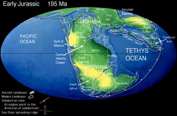 Continents And Oceans Map. Continents and Oceans Today