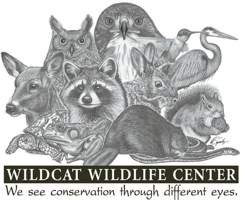 wildcat creek wildlife center