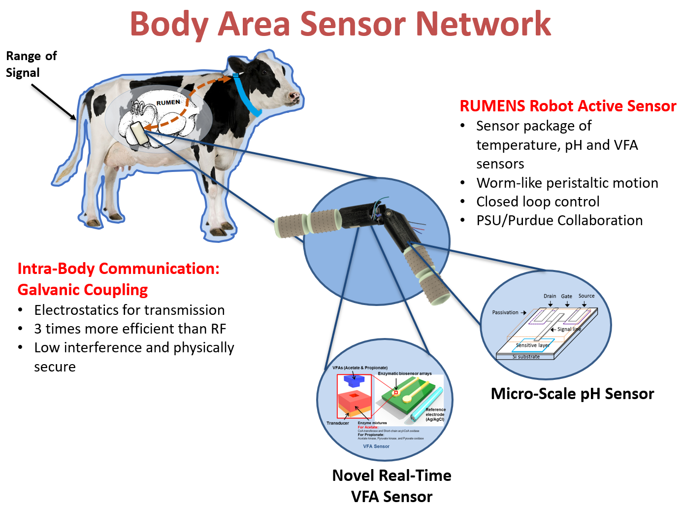 Body Sensor Network
